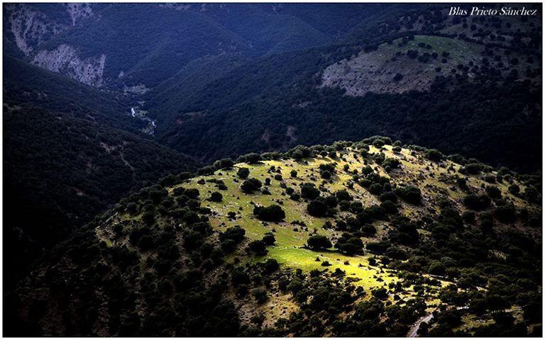 Apartamentos Turisticos Rurales Monte De Las Animas Valdepenas de Jaen Eksteriør bilde