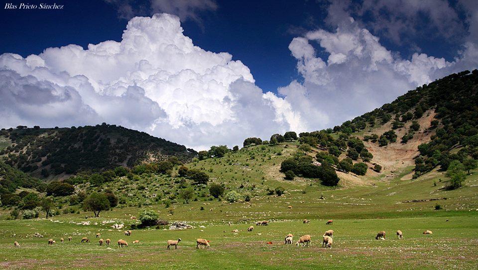 Apartamentos Turisticos Rurales Monte De Las Animas Valdepenas de Jaen Eksteriør bilde
