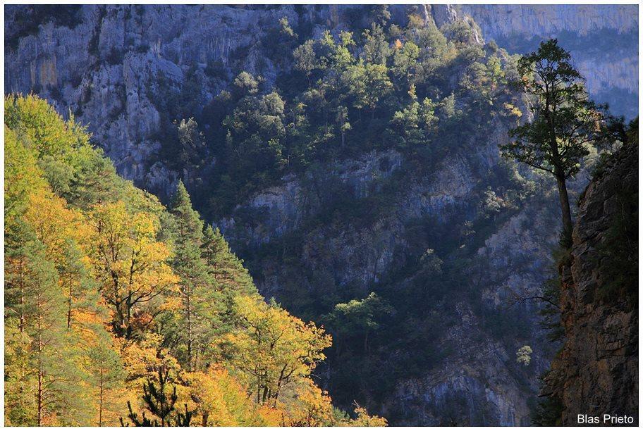Apartamentos Turisticos Rurales Monte De Las Animas Valdepenas de Jaen Eksteriør bilde