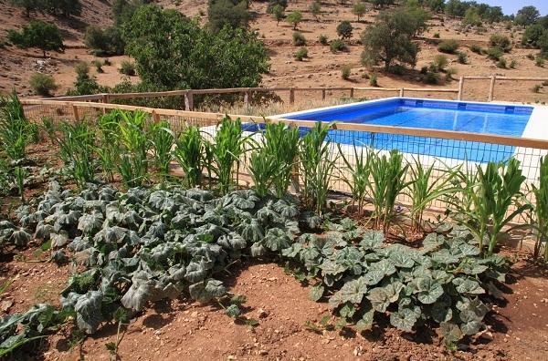 Apartamentos Turisticos Rurales Monte De Las Animas Valdepenas de Jaen Eksteriør bilde